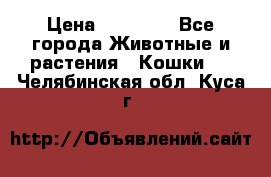 Zolton › Цена ­ 30 000 - Все города Животные и растения » Кошки   . Челябинская обл.,Куса г.